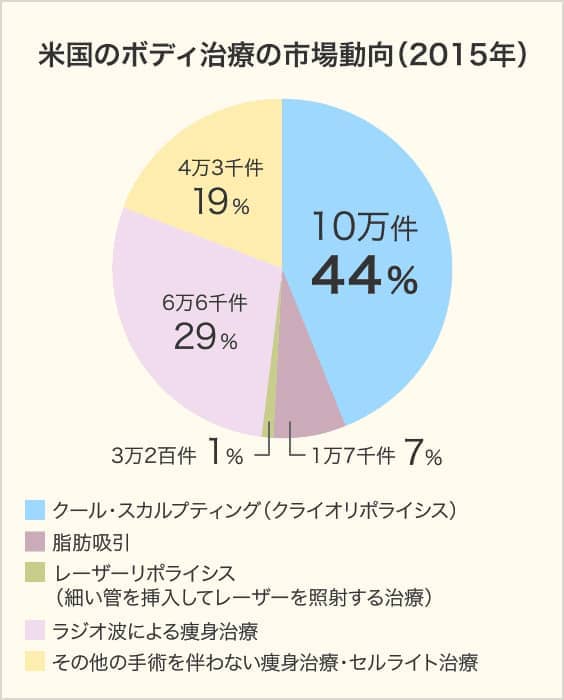 米国のボディ治療の市場動向（2015年）