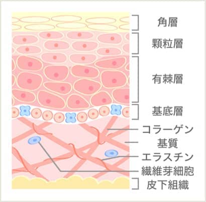 イオン導入後の図