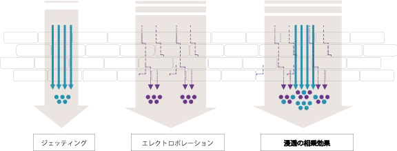 圧倒的な浸透力を可視化