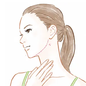 フェイスラインのイラスト