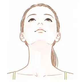 あご下のイラスト