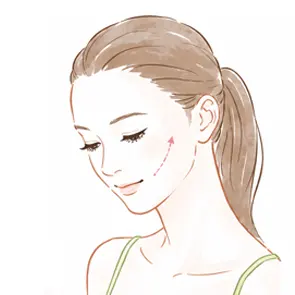 頬の位置のイラスト