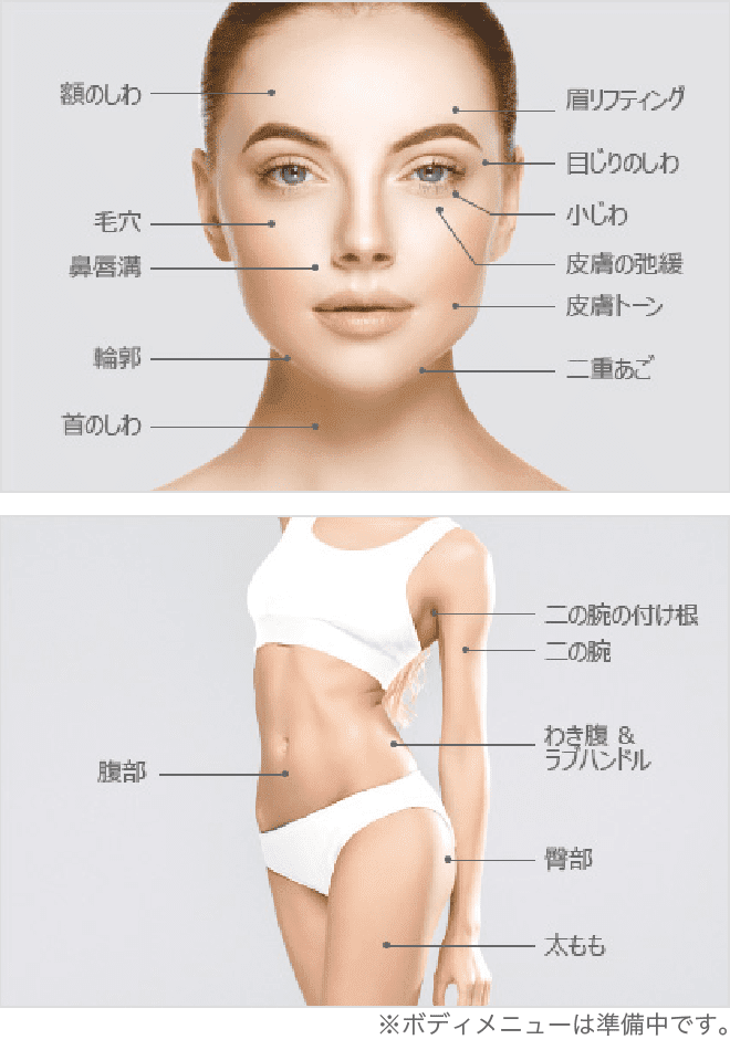 額のしわ・毛穴・鼻唇溝・輪郭・首のシワ・眉リフティング・目尻のしわ・小じわ・皮膚の弛緩・皮膚トーン・二重あご・腹部・二の腕の付け根・二の腕・わき腹・ラブハンドル・臀部・太もも