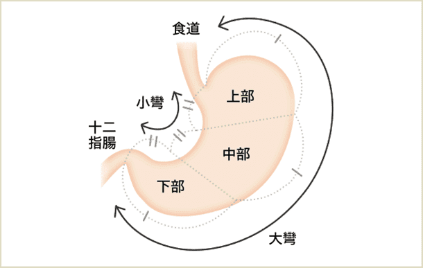 胃の病気イメージ画像