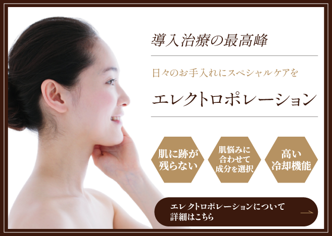 エレクトロポレーションの詳細はこちら